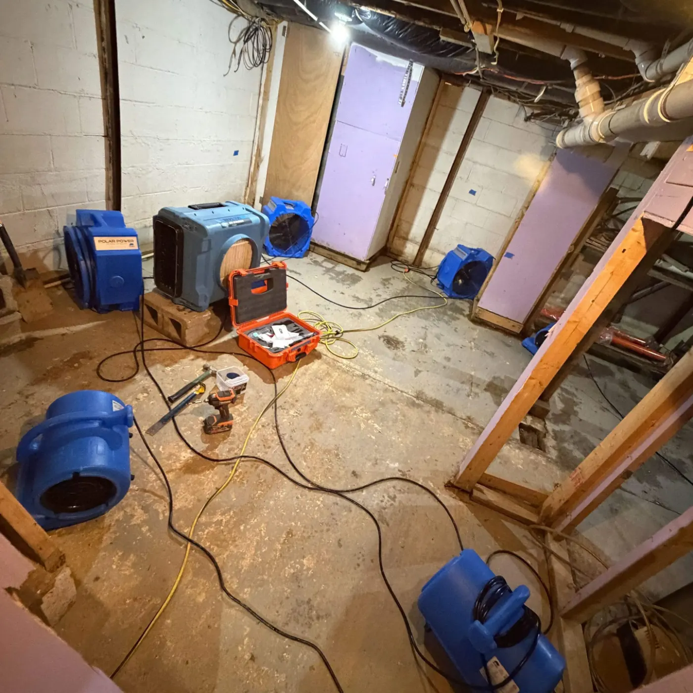 IICRC certified drying setup in Hamilton County, IN